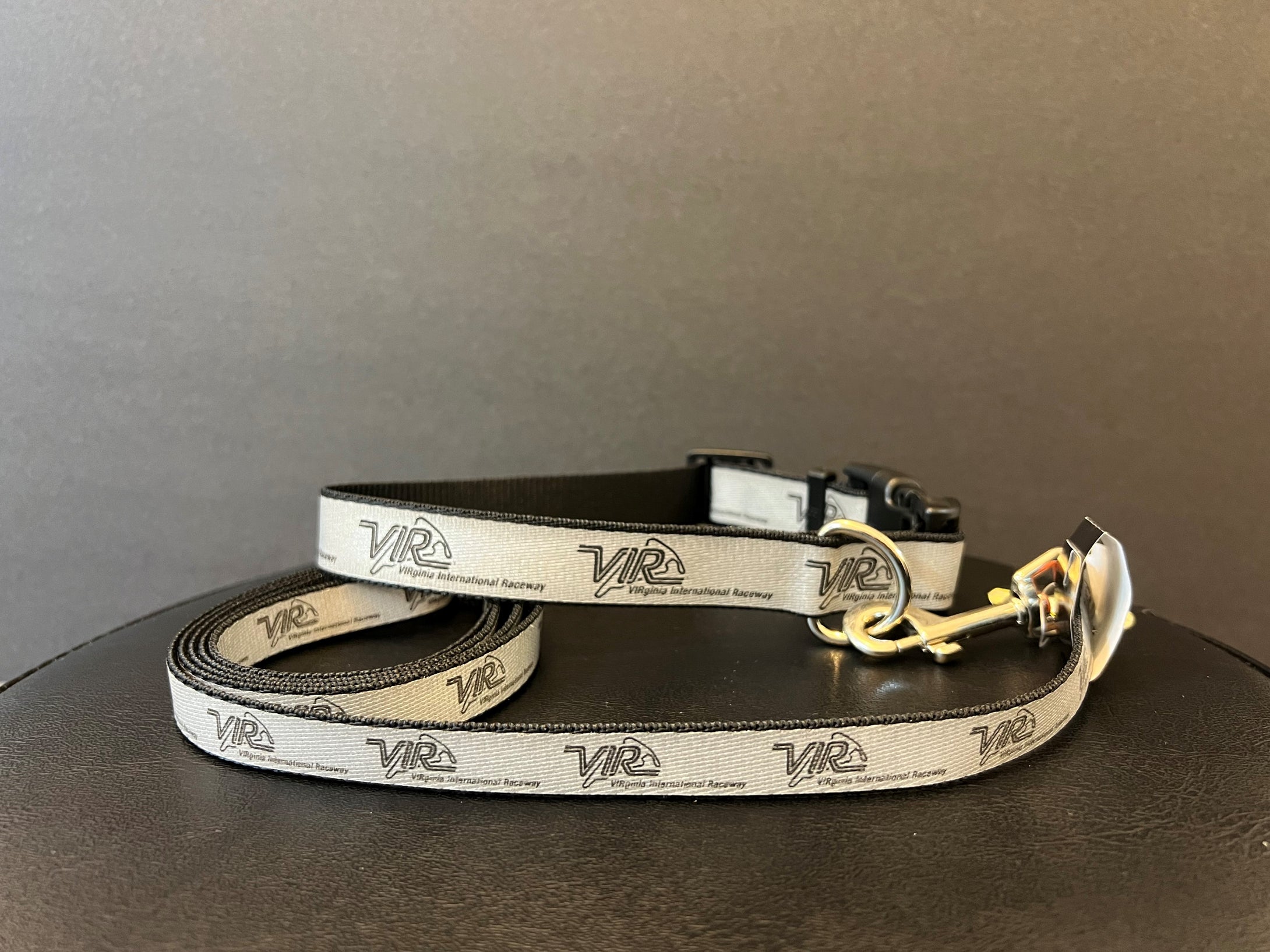 VIR Lazer Brite Dog Collar (Size: S, M or L)