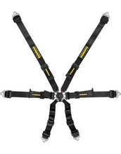 Load image into Gallery viewer, Schroth Flexi 2x2 Belt - FIA - Color: Black, Blue, Red